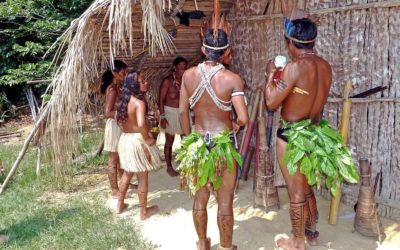 Cultural heritage at risk: UFF researcher works with preservation of Brazilian indigenous languages